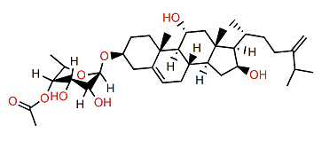 Crassarosteroside C